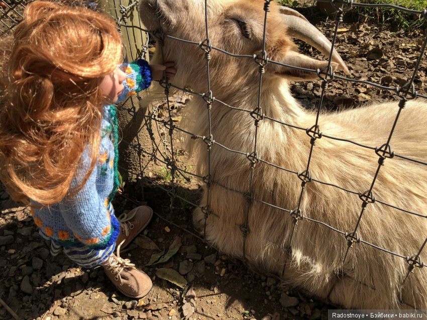 Азалия на празднике урожая