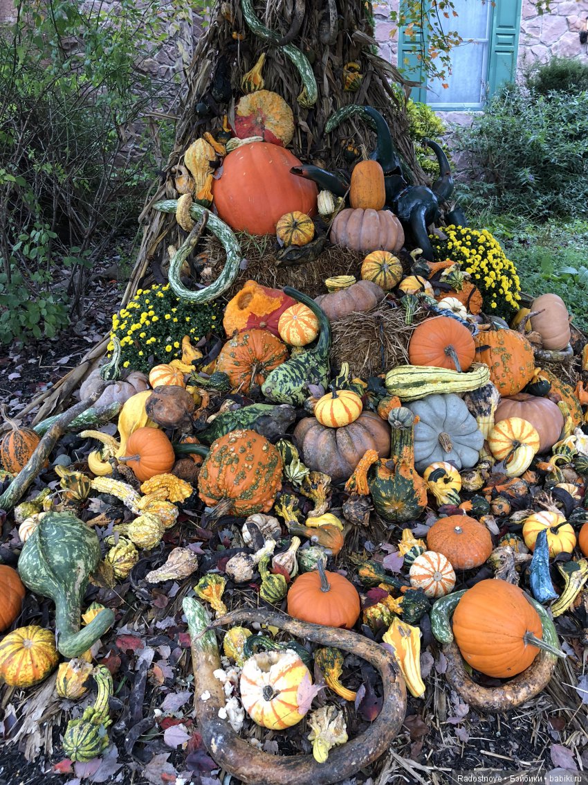 Ярмарка Ренессанса — Туризм и путешествия: фотоотчеты из поездок