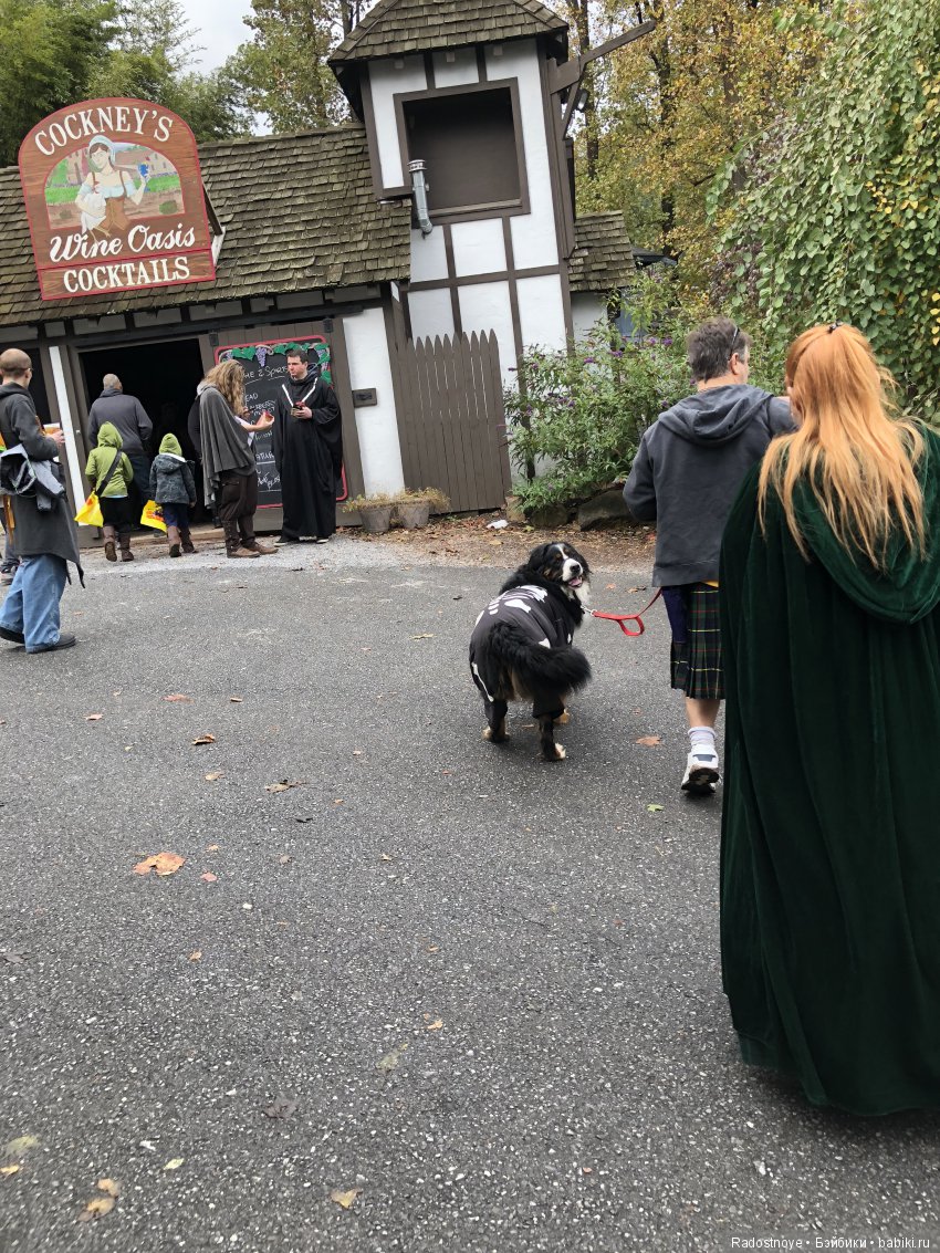 Ярмарка Ренессанса — Туризм и путешествия: фотоотчеты из поездок