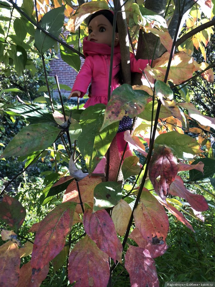 Shola — Игровые куклы разных производителей (Разное): редкие бренды