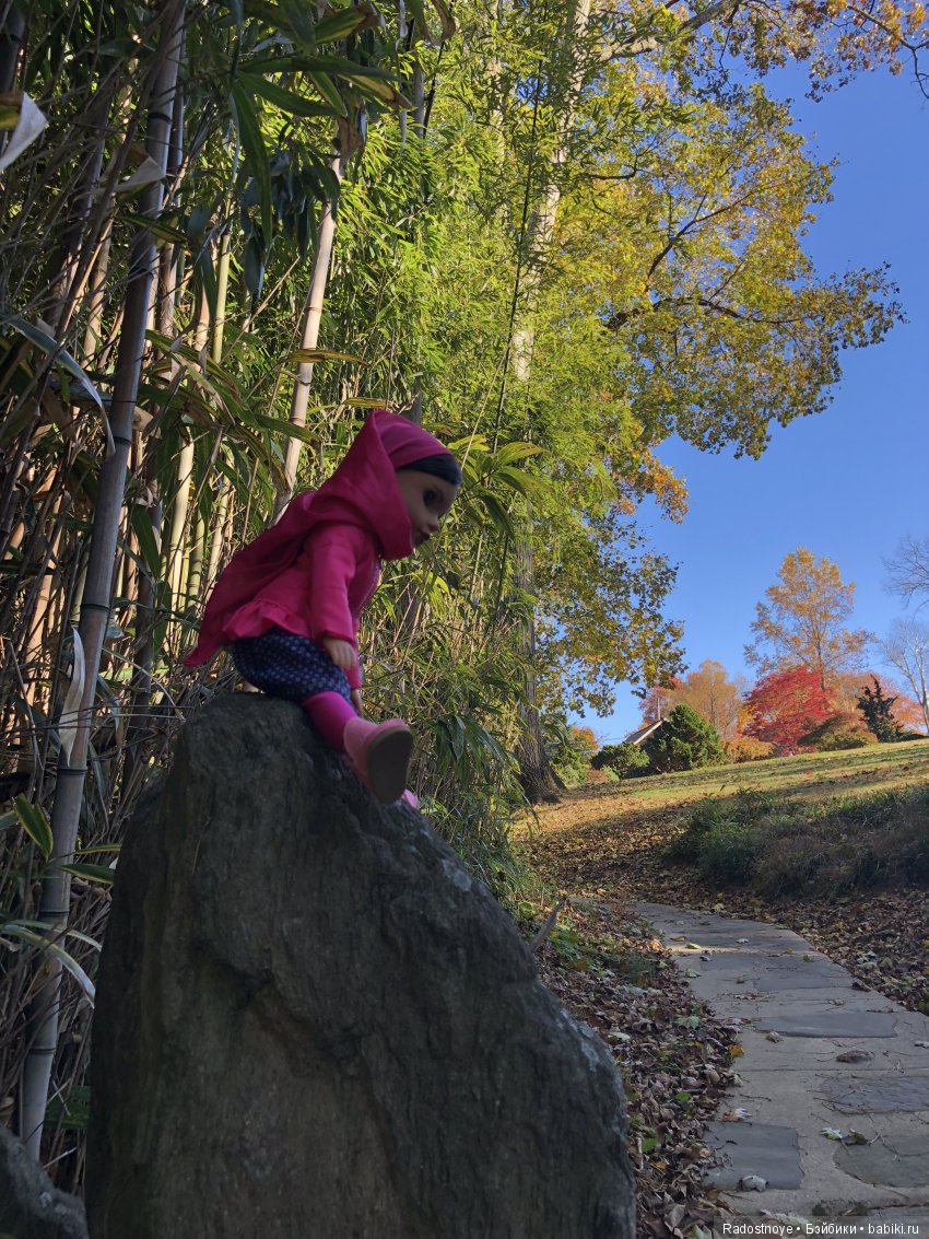 Shola — Игровые куклы разных производителей (Разное): редкие бренды