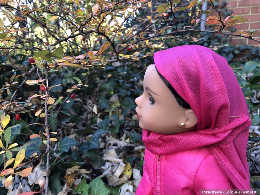 Shola — Игровые куклы разных производителей (Разное): редкие бренды