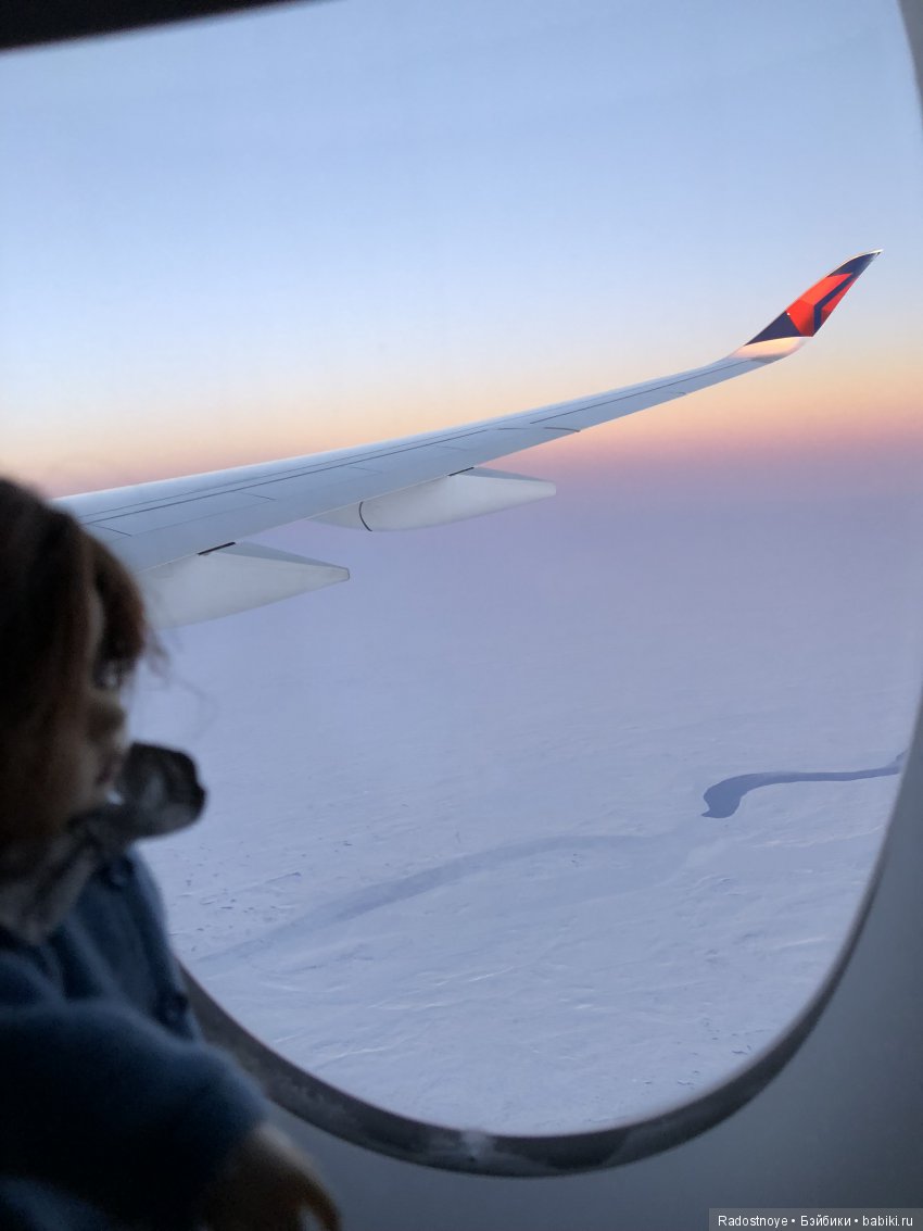 Кругосветное путешествие. Часть 2. Агата и енот