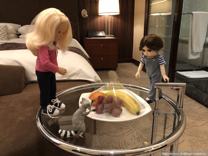 Кругосветное путешествие. Часть 2. Агата и енот