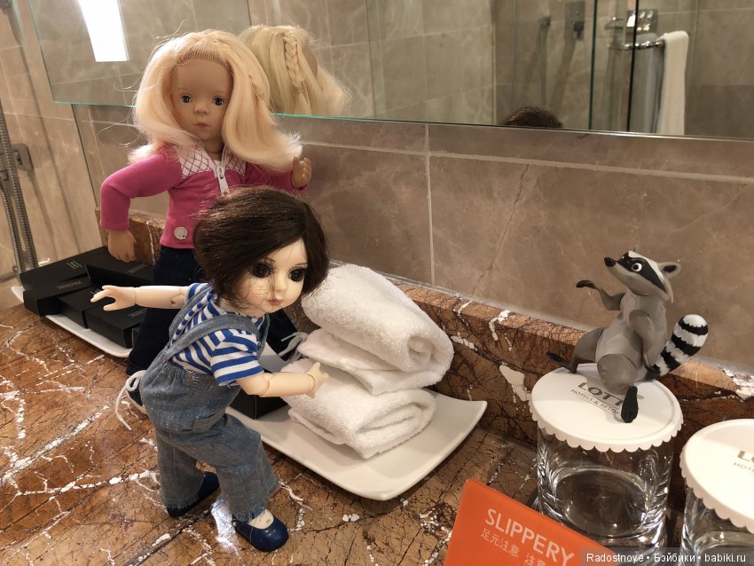 Кругосветное путешествие. Часть 2. Агата и енот