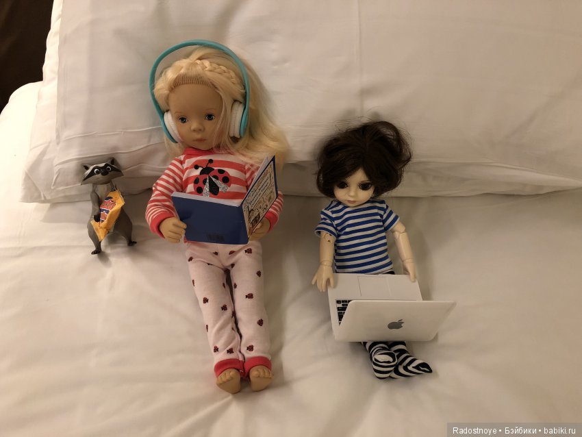 Кругосветное путешествие. Часть 2. Агата и енот