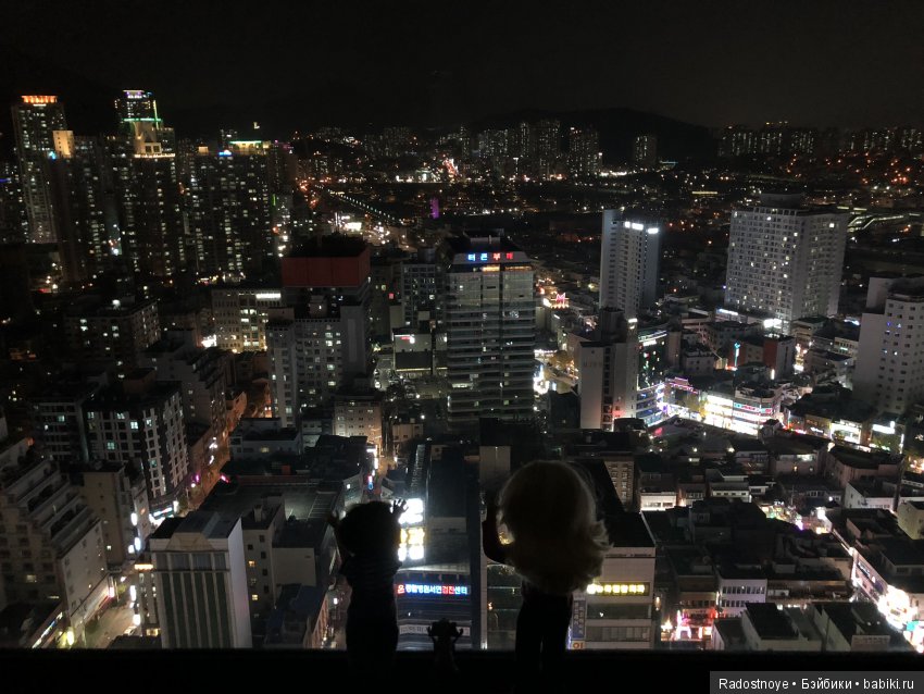 Кругосветное путешествие. Часть 2. Агата и енот