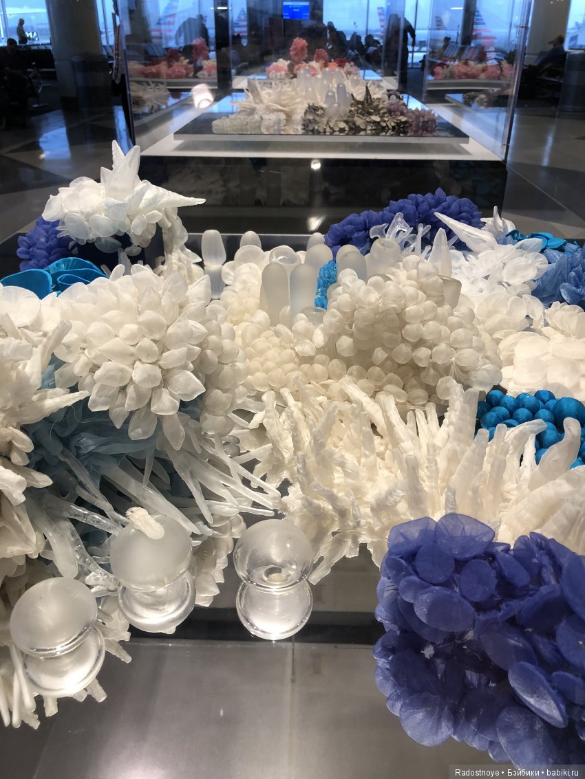 Кругосветное путешествие. Часть 2. Агата и енот