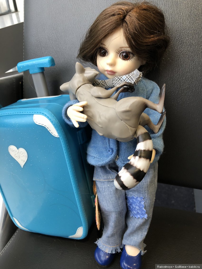 Кругосветное путешествие. Часть 2. Агата и енот