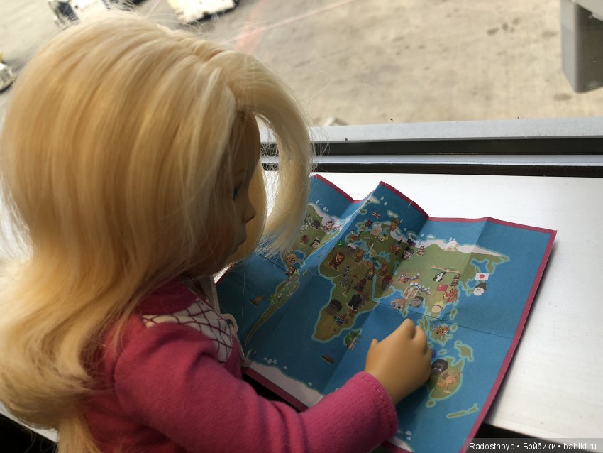 Кругосветное путешествие. Часть 2. Агата и енот (фото 6)