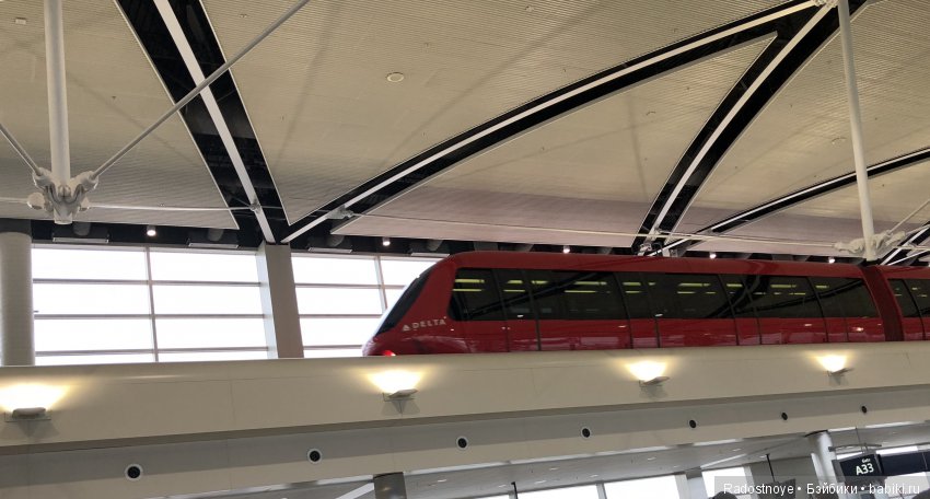 Кругосветное путешествие. Часть 2. Агата и енот