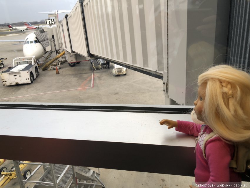 Кругосветное путешествие. Часть 2. Агата и енот (фото 2)