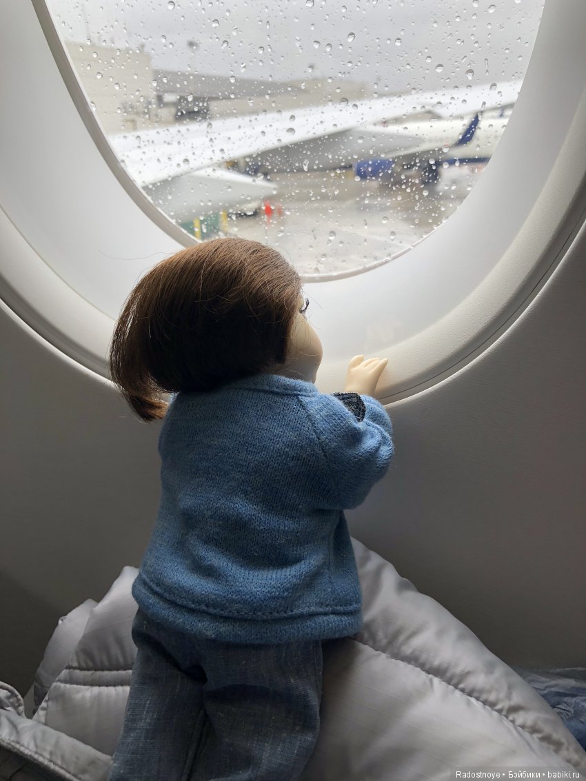 Кругосветное путешествие. Часть 2. Агата и енот