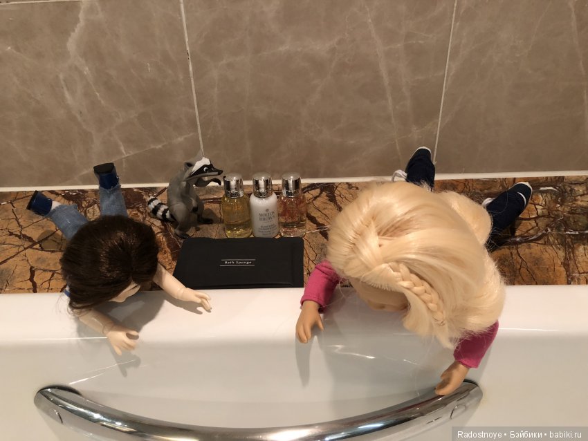 Кругосветное путешествие. Часть 2. Агата и енот