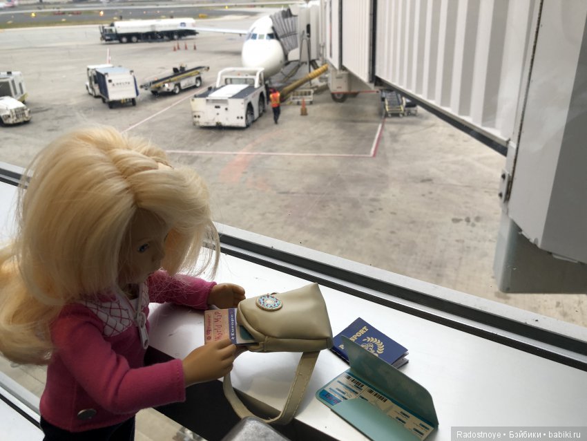 Кругосветное путешествие. Часть 2. Агата и енот (фото 5)