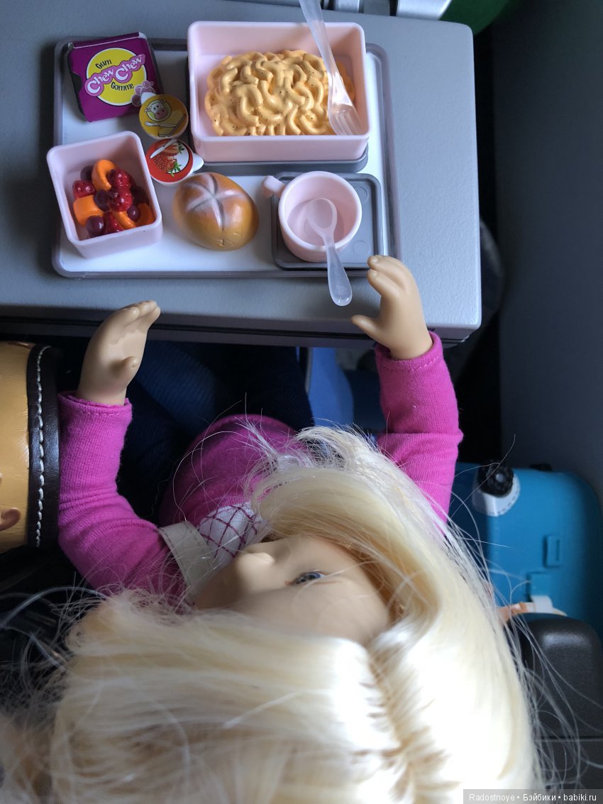 Кругосветное путешествие. Часть 2. Агата и енот