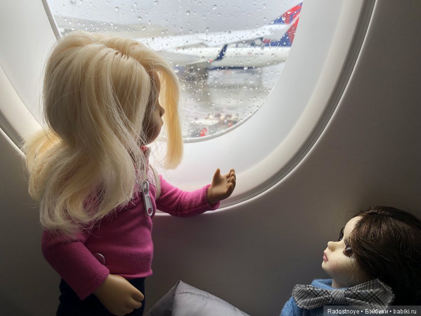 Кругосветное путешествие. Часть 2. Агата и енот