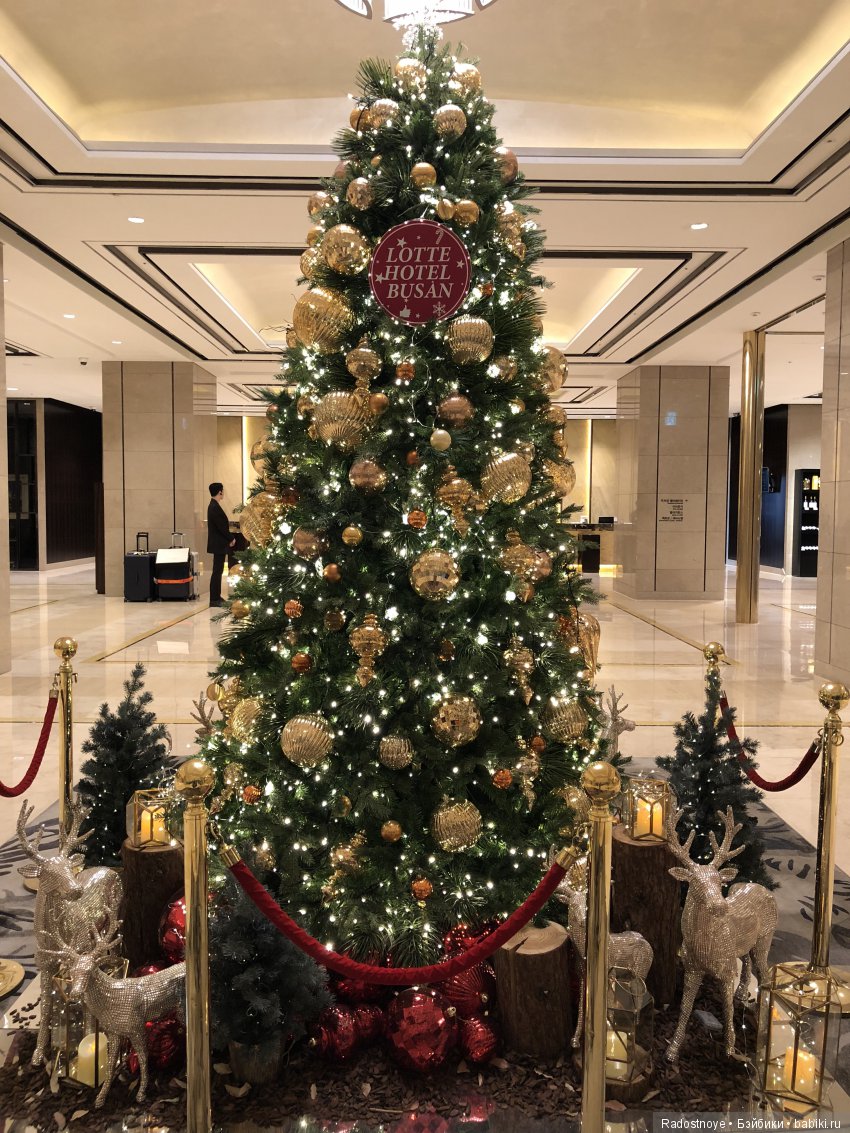 Кругосветное путешествие. Часть 2. Агата и енот