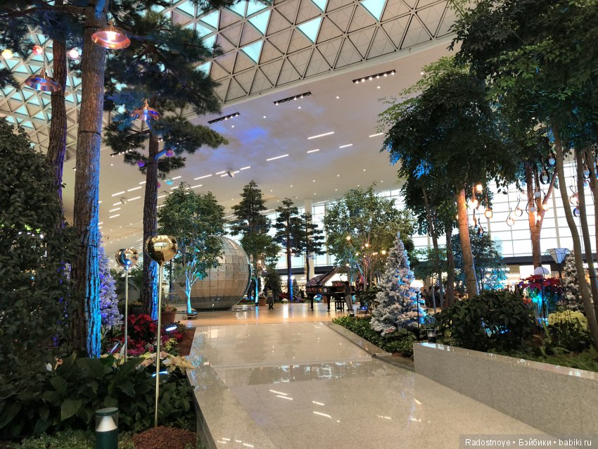 Кругосветное путешествие. Часть 2. Агата и енот