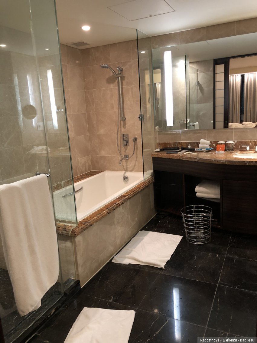 Кругосветное путешествие. Часть 2. Агата и енот