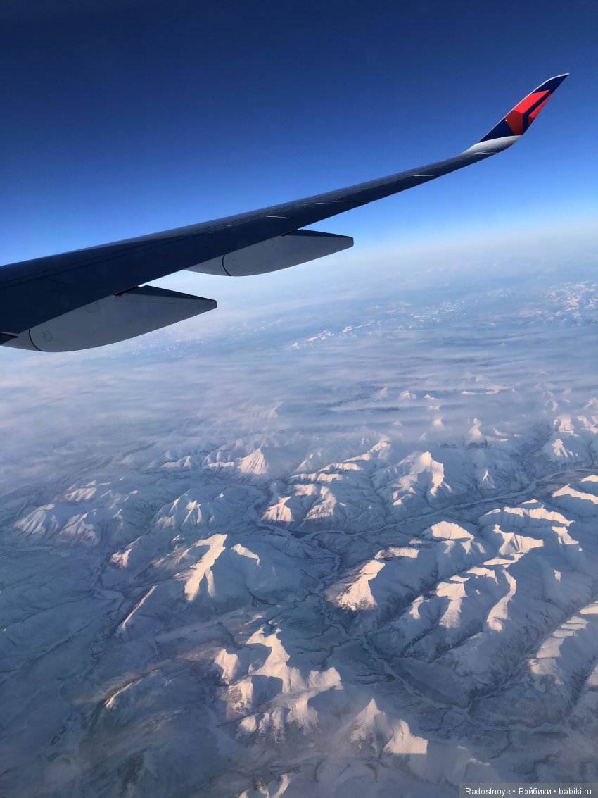 Кругосветное путешествие. Часть 2. Агата и енот