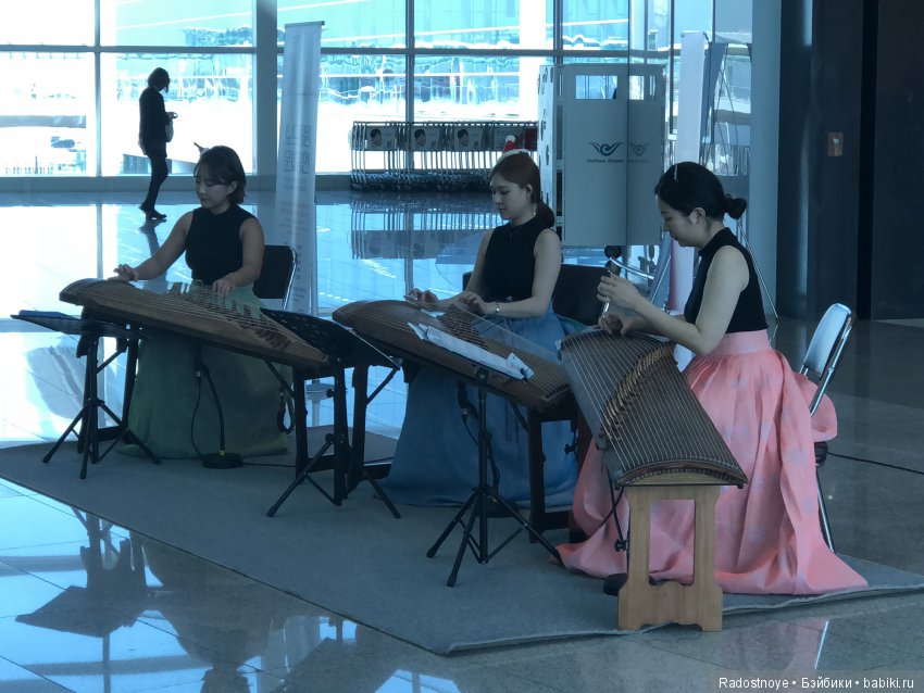 Кругосветное путешествие. Часть 4 и последняя. В пригороде Москвы (фото 4)