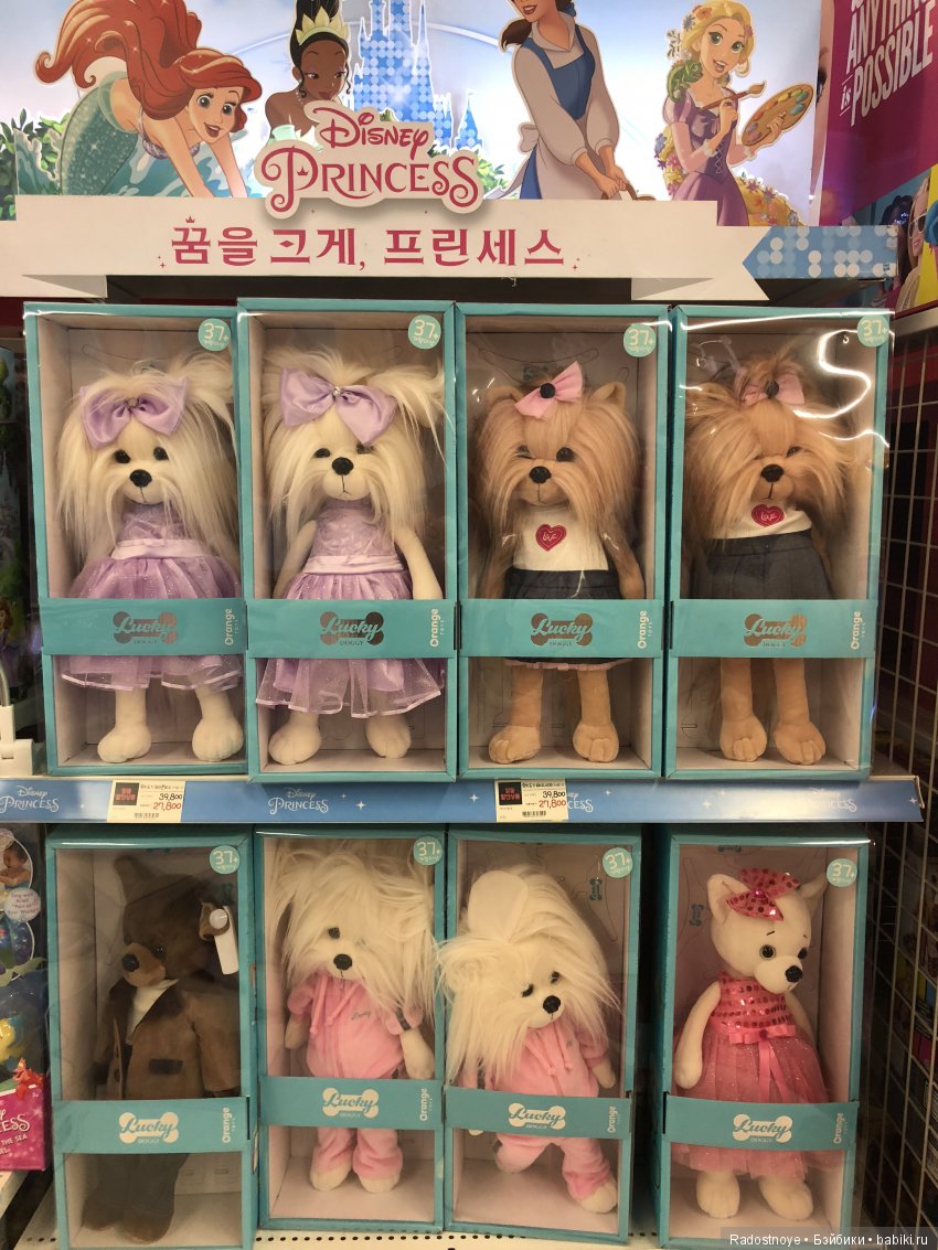 Кругосветное путешествие. Эпилог