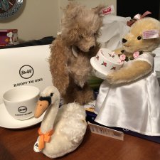 Прошлый сезон