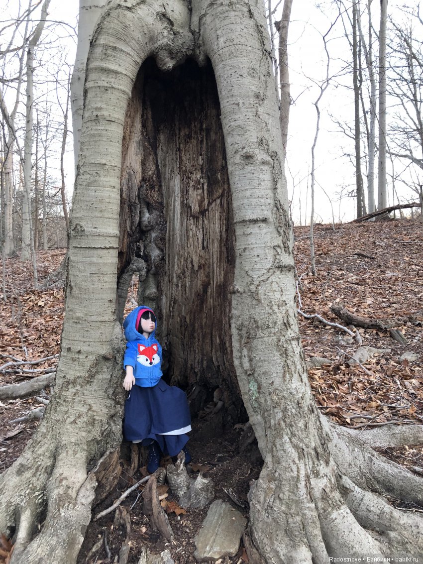 Ледяной ветер — Куклы Zwergnase (Цвергназе/Цверги): фото