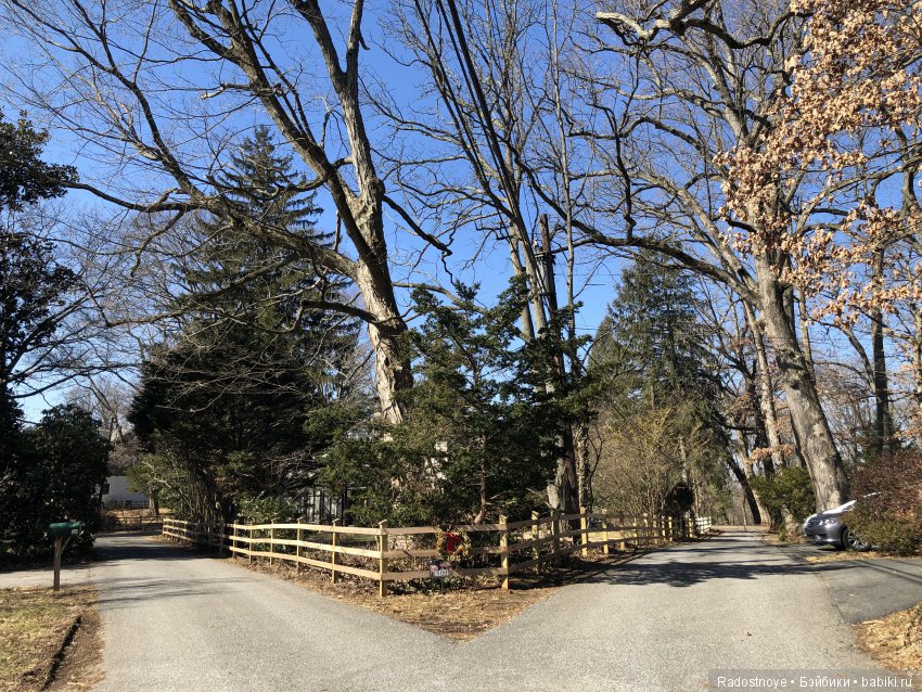 Кому солнышка — Фарфоровые куклы Ashton Drake (Эштон Дрейк): Knowles (фото 9)