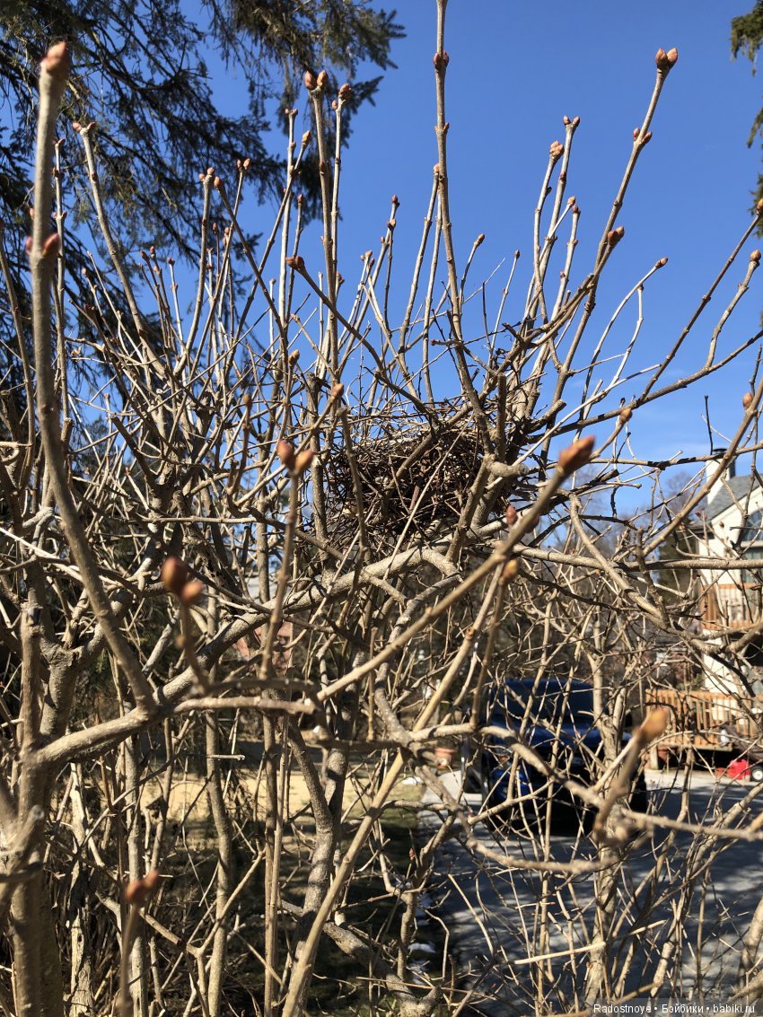 Кому солнышка — Фарфоровые куклы Ashton Drake (Эштон Дрейк): Knowles (фото 7)