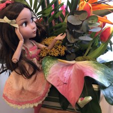 Гавайские цветы