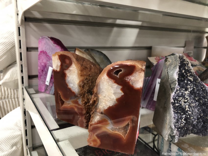 Дурман-цветок — Культура