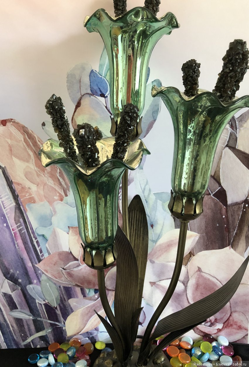 Дурман-цветок — Культура (фото 10)