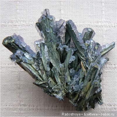 Дурман-цветок — Культура