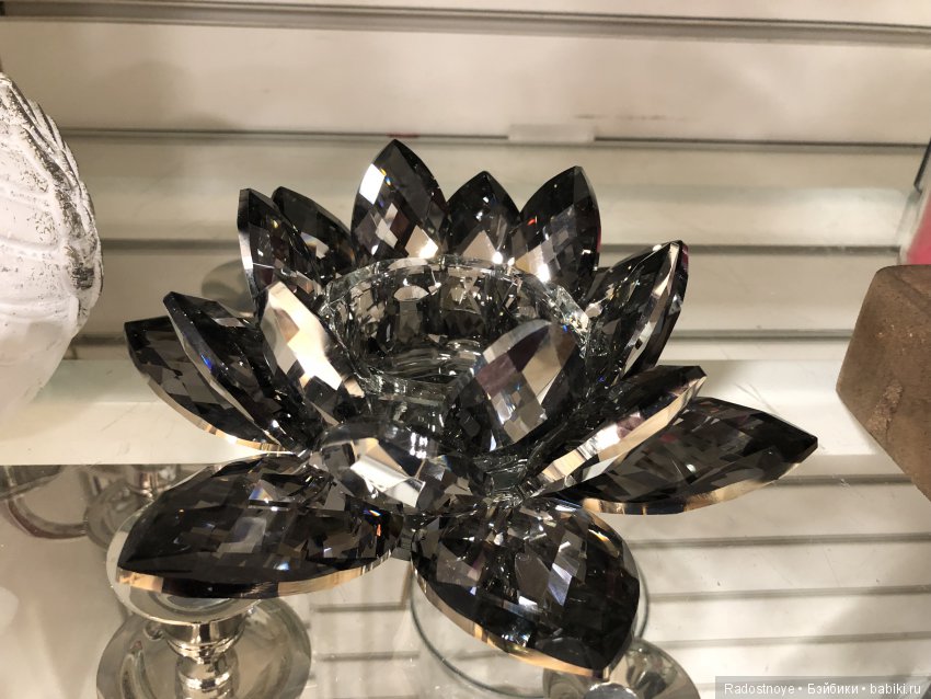 Дурман-цветок — Культура