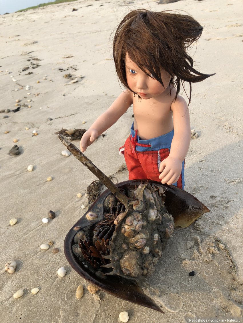 Густав, Азалия и мечехвосты (фото 10)