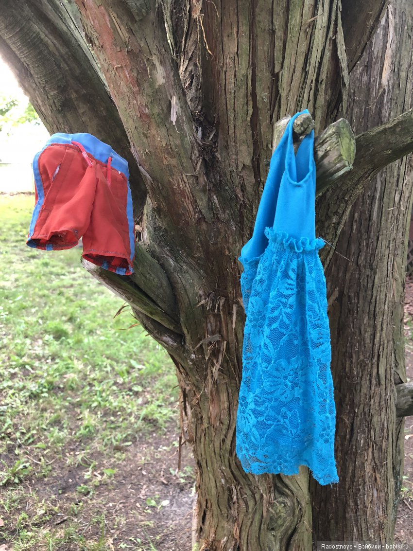 Густав, Азалия и мечехвосты