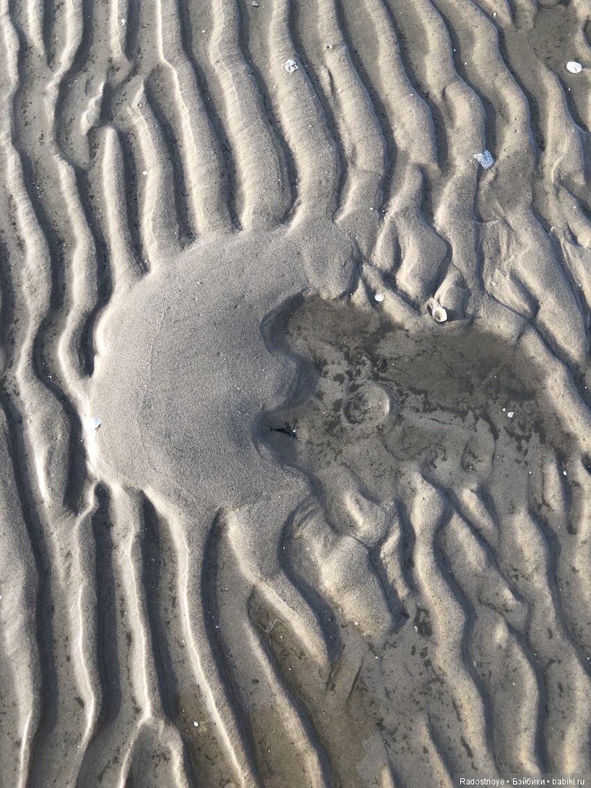 Многогранный мир — Испанские куклы (разное): Vestida de Azul