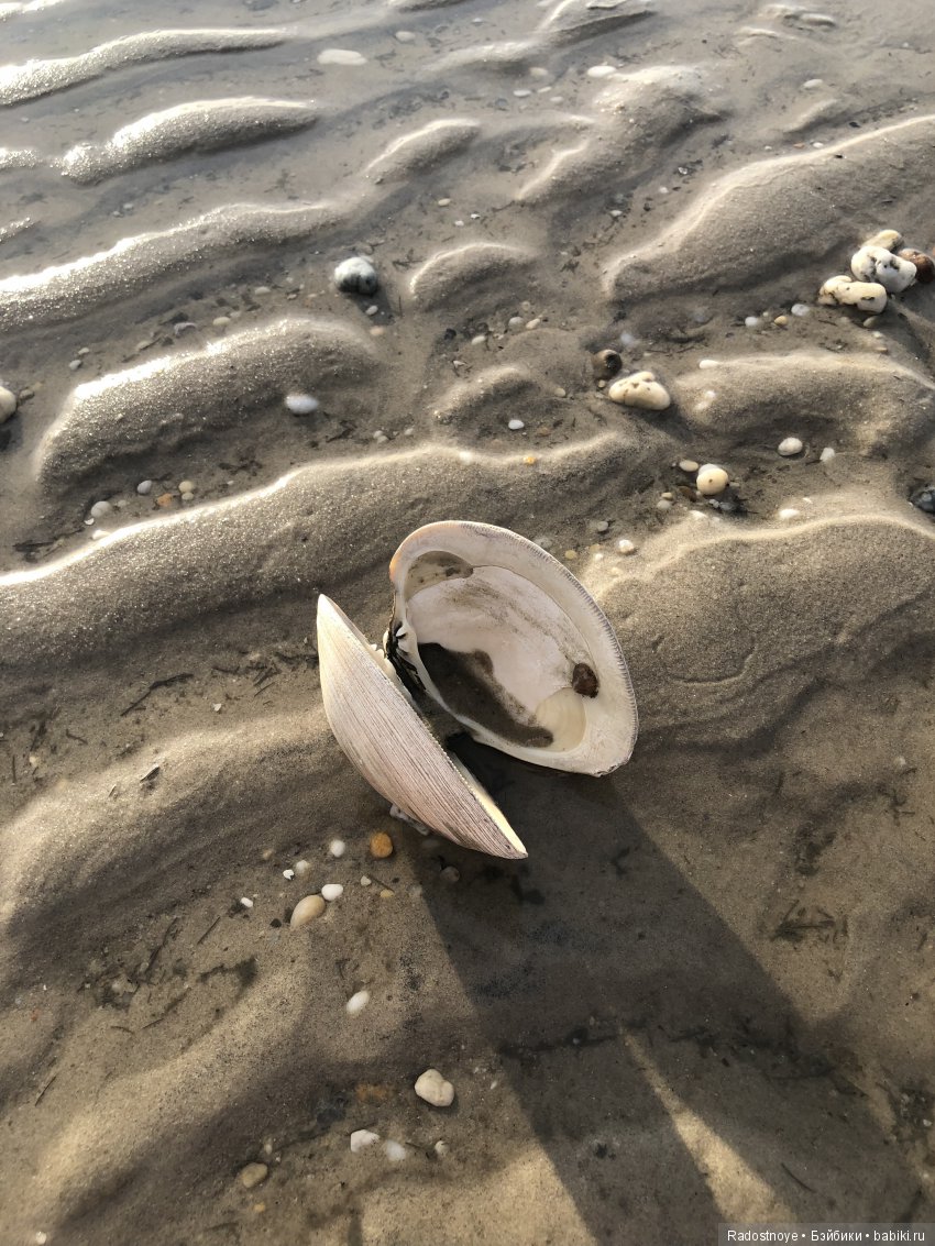 Многогранный мир — Испанские куклы (разное): Vestida de Azul