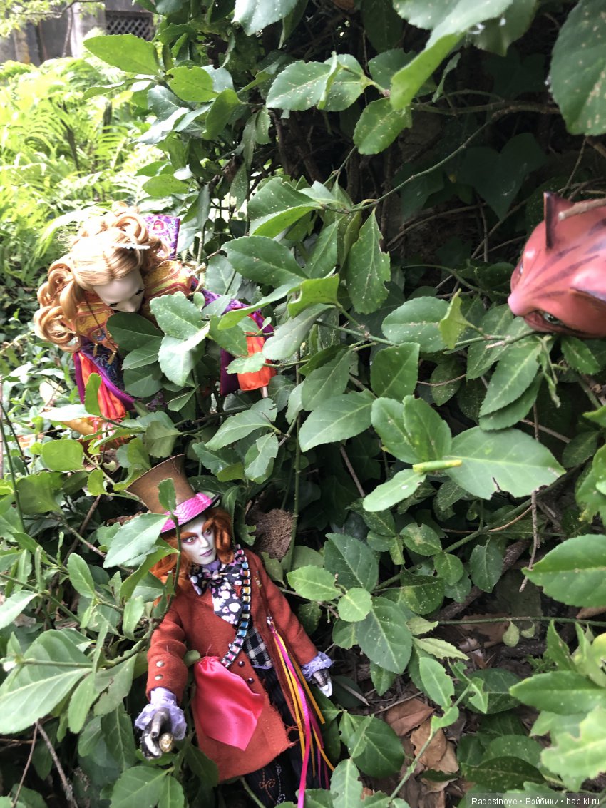 Алиса в Новом Свете — Коллекционные куклы разных авторов (Разное): редкие бренды