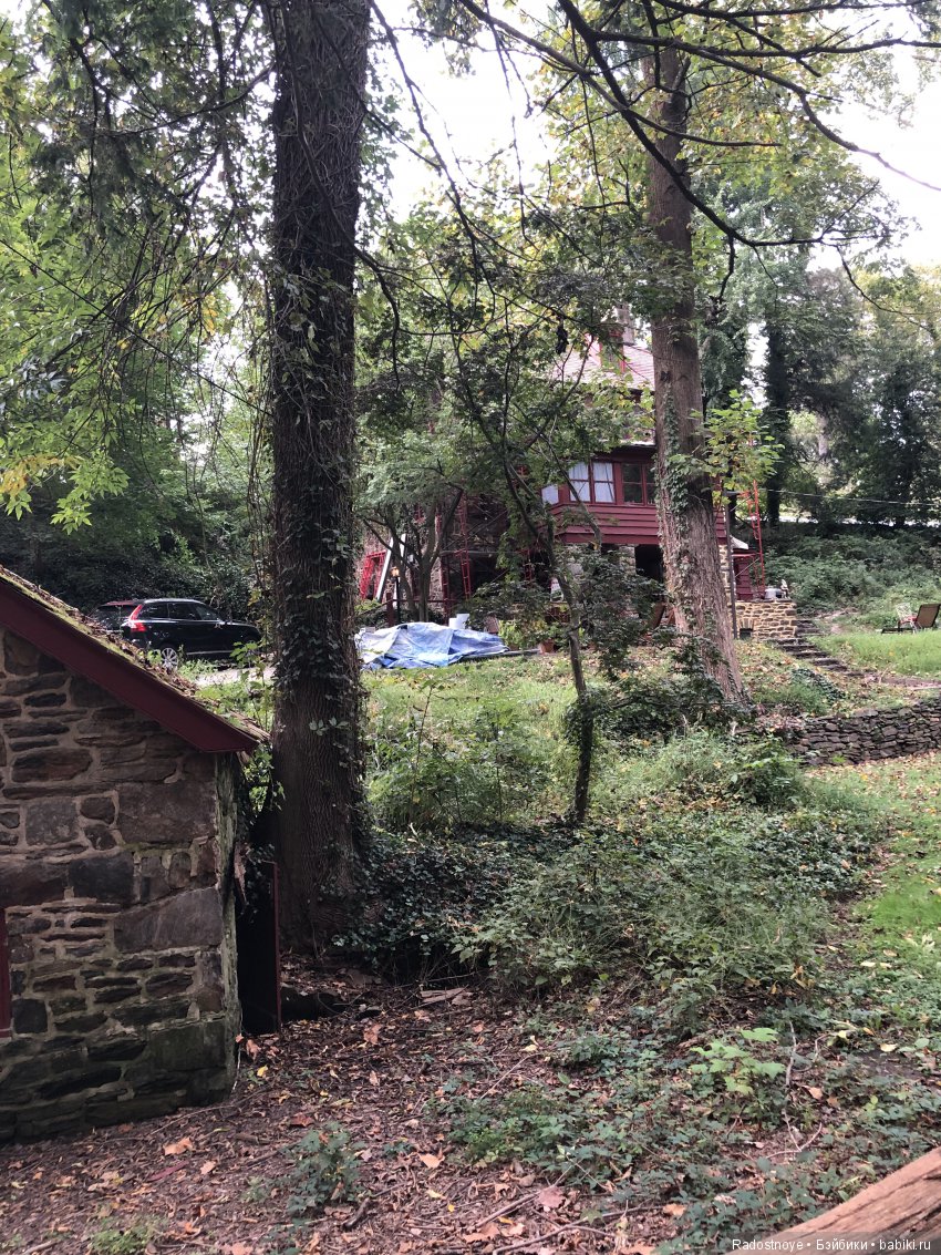 Алиса в Новом Свете — Коллекционные куклы разных авторов (Разное): редкие бренды