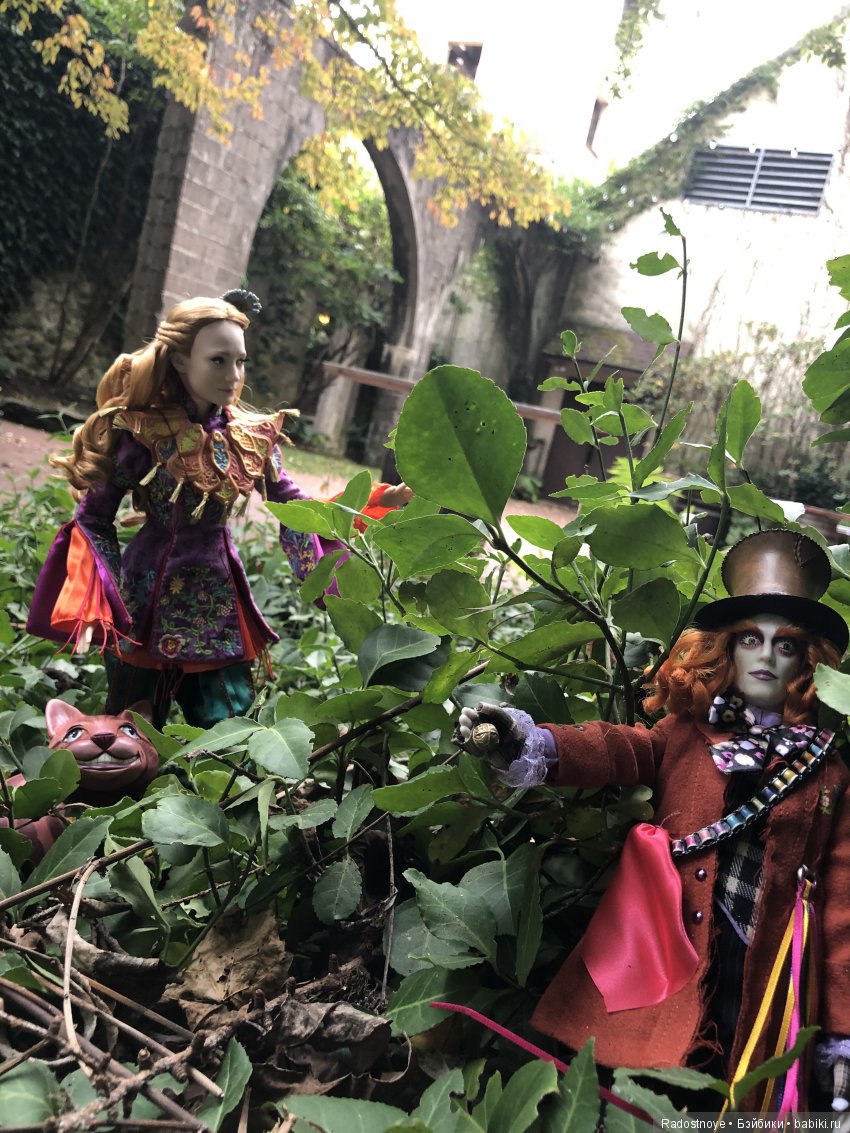 Алиса в Новом Свете — Коллекционные куклы разных авторов (Разное): редкие бренды