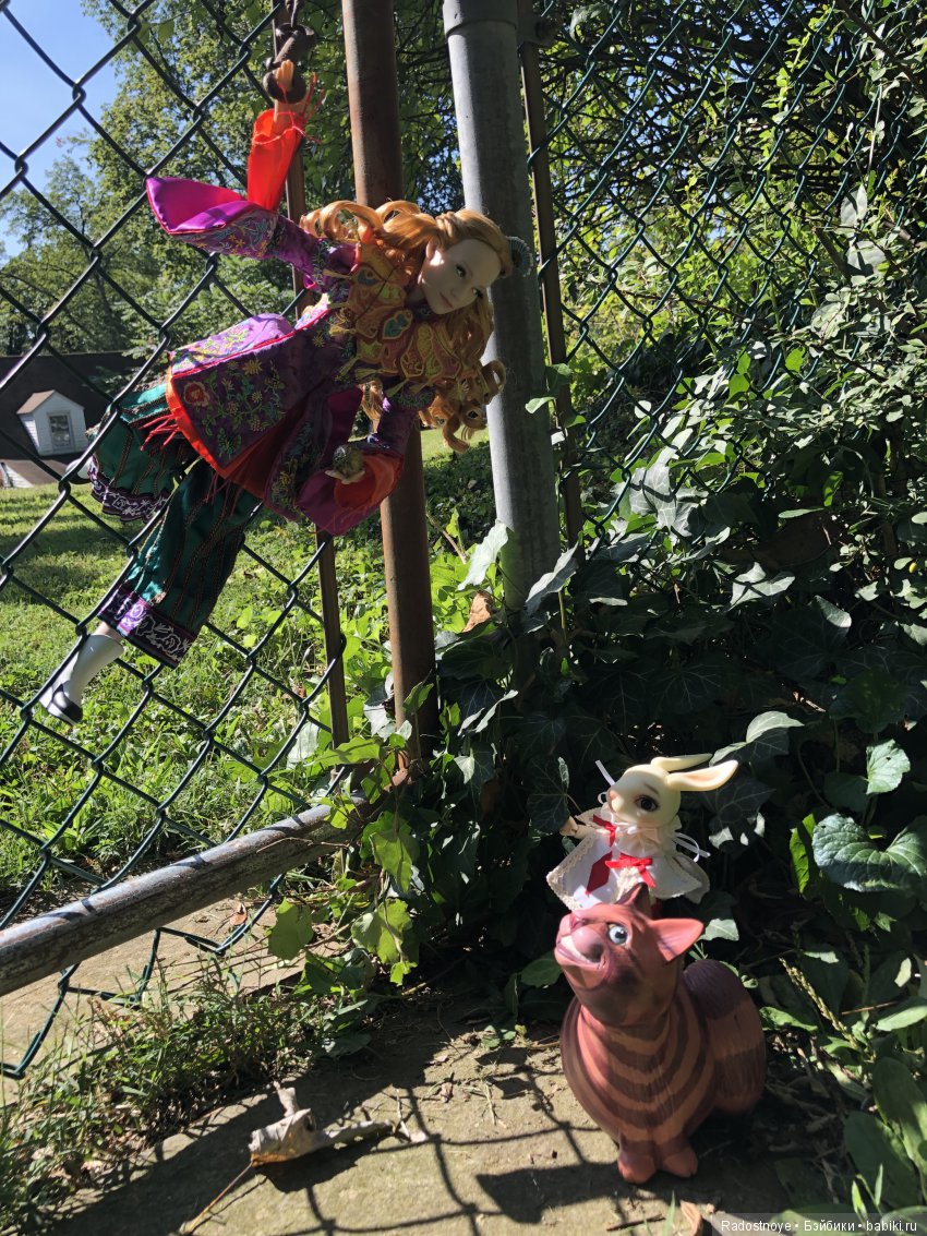 Алиса в Новом Свете — Коллекционные куклы разных авторов (Разное): редкие бренды