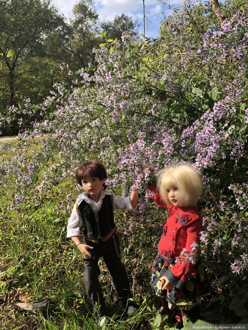 Феникс и Шиа (Phoenix and Shea)