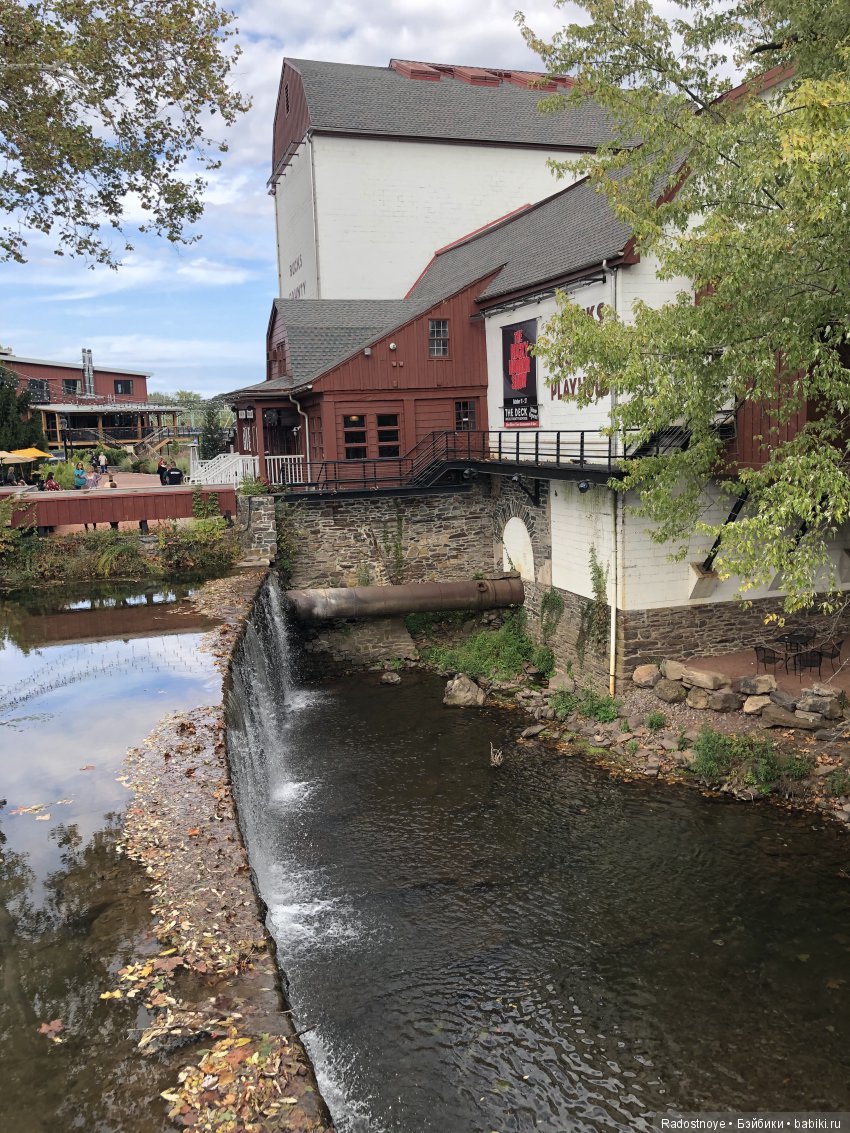 Феникс и Шиа (Phoenix and Shea) (фото 4)