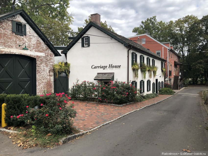 Феникс и Шиа (Phoenix and Shea) (фото 5)