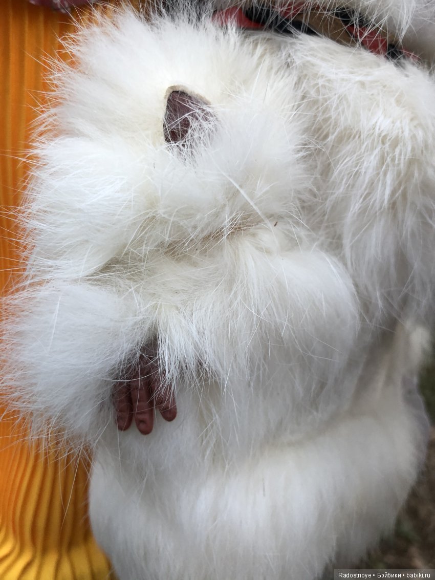 Находки за один доллар и меньше (фото 7)