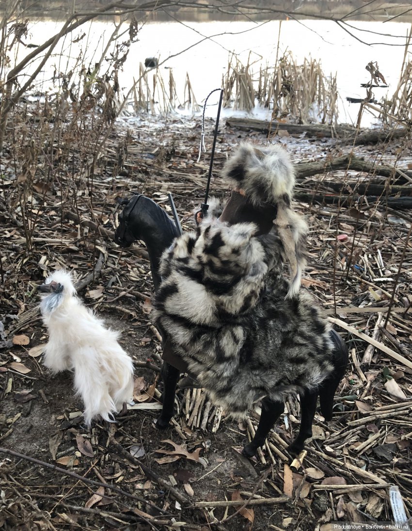 Витязь в барсовой шкуре — Коллекционные экшн (фото 2)