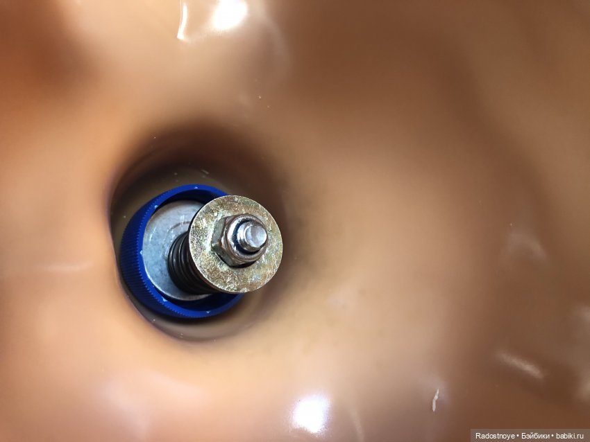 Операция на голову — Куклы Sieglinde Frieske (Фриске): Schildkrot